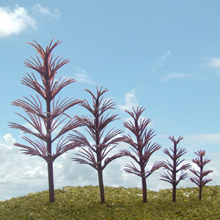 model trees